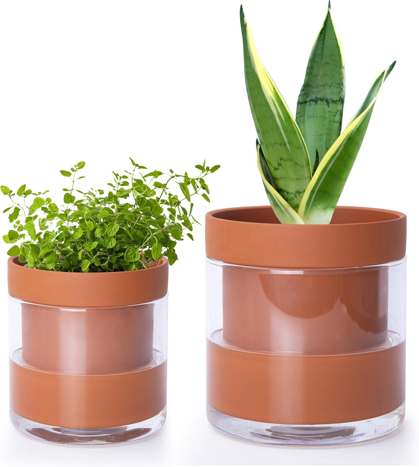 Self Watering Pots